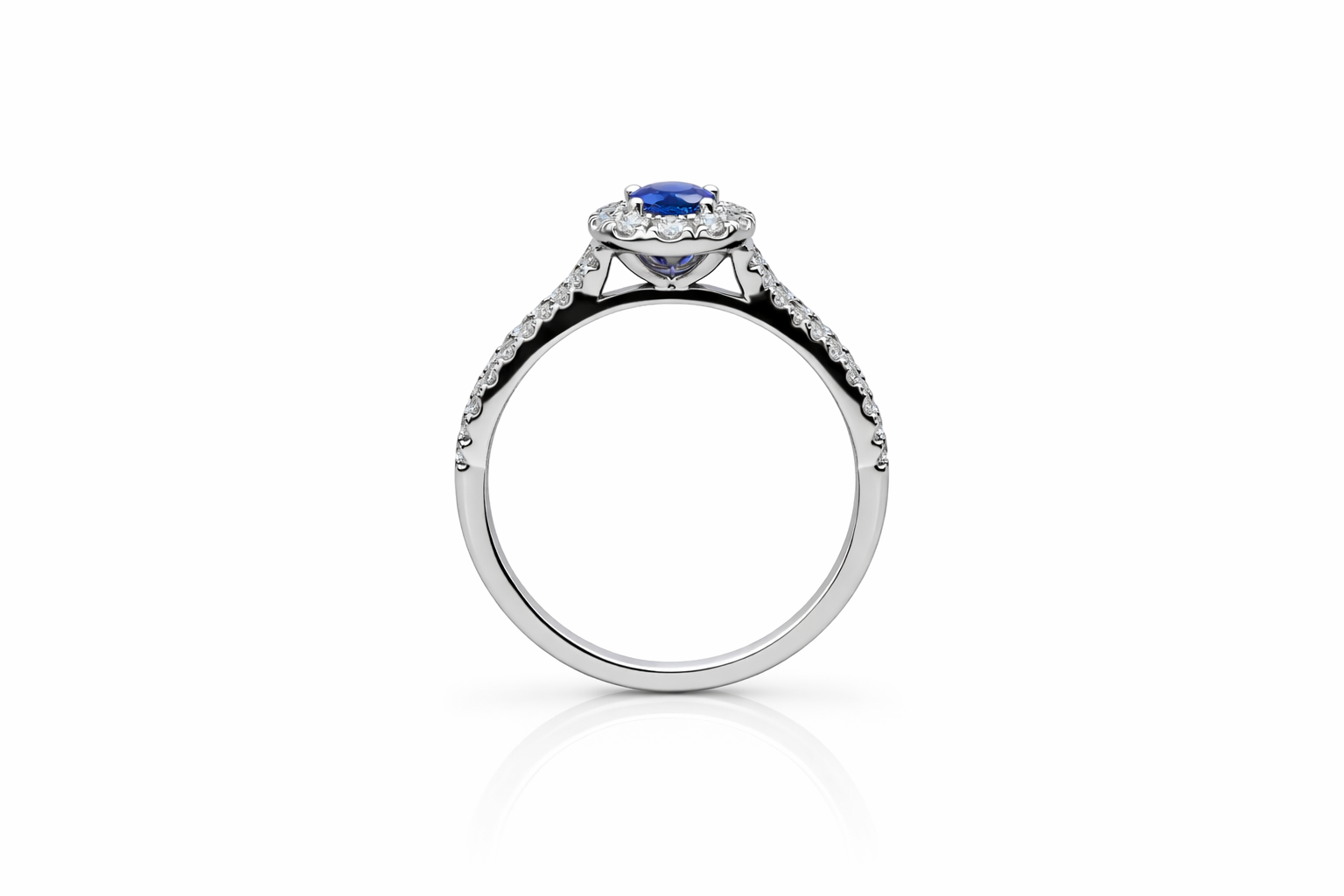 Midnight Ring