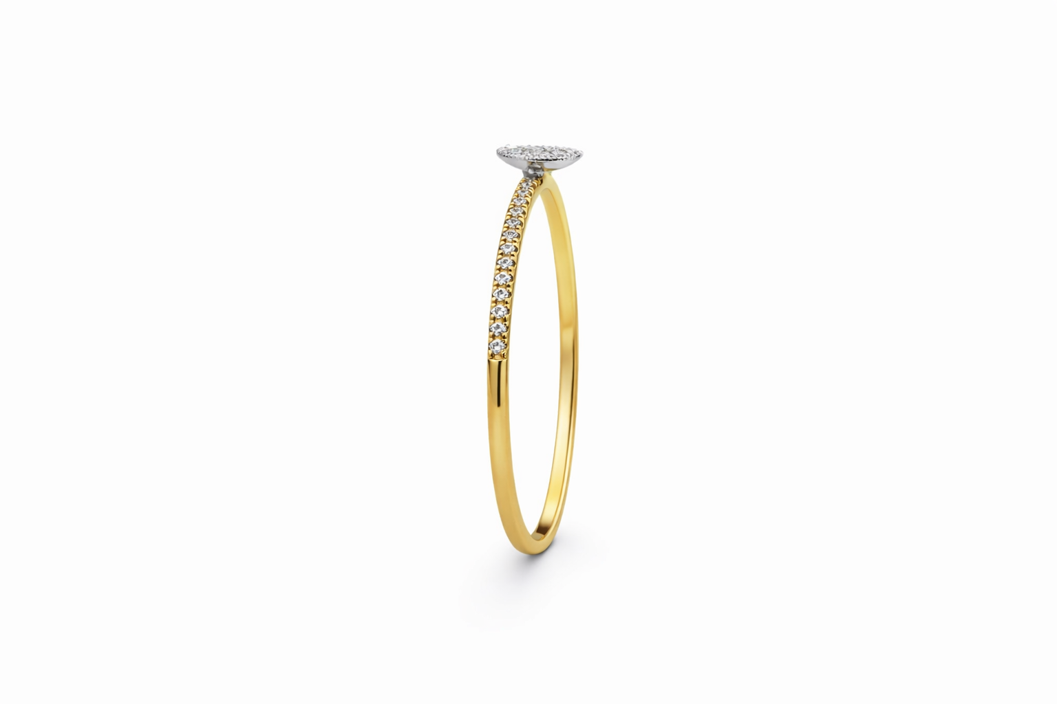 The Drop Ring